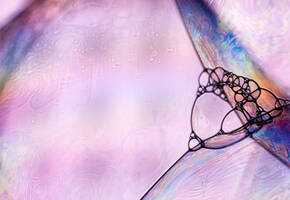 Paraben Free