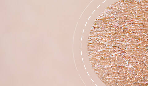 Anti-Aging Creams SkinCeuticals