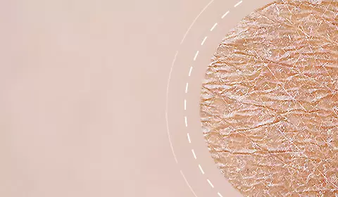 Anti-Aging Creams SkinCeuticals