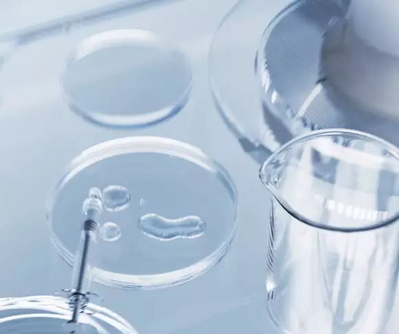 Integrated Skincare