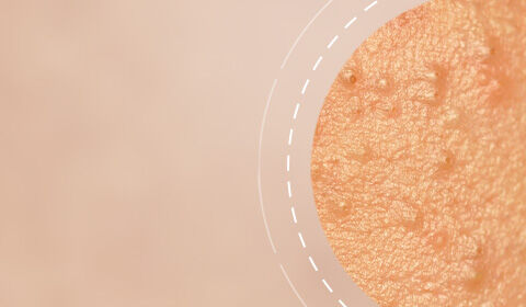 Anti-Aging Creams SkinCeuticals