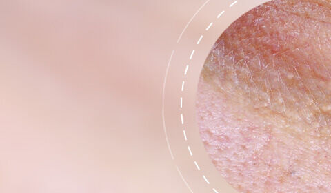 Anti-Aging Creams SkinCeuticals