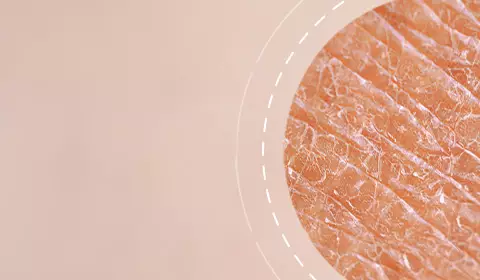 Anti-Aging Creams SkinCeuticals