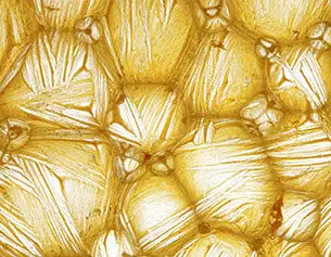 Aceite de Naranja