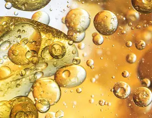 2% Lactobacillus/Soybean Ferment Extract