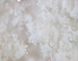 Sorbitol
