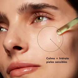 Phyto Corrective | SkinCeuticals Mexico