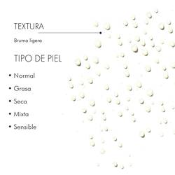 Aspectos de Phyto Corrective Essence Mist | SkinCeutical Mexico