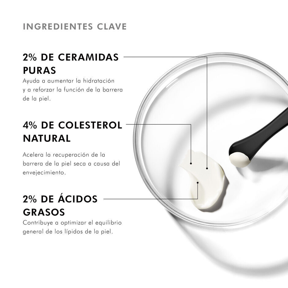 Ingredientes de Triple Lipid Restore 2:4:2 | SkinCeuticals Mexico