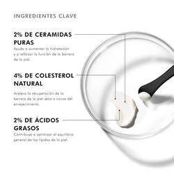 Ingredientes de Triple Lipid Restore 2:4:2 | SkinCeuticals Mexico