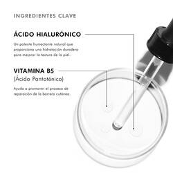 Ingredientes de Hydrating B5 | SkinCeuticals Mexico